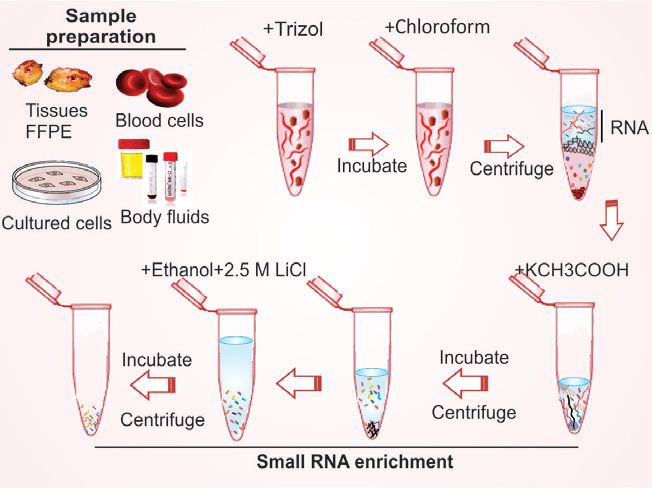 استخراج RNA از خون به کمک ایزوپروپانول
