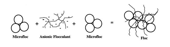 مکانیسم عمل فلوکولانت