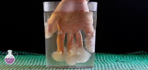 فرو بردن دست در محلول و تشکیل یخ داغ
